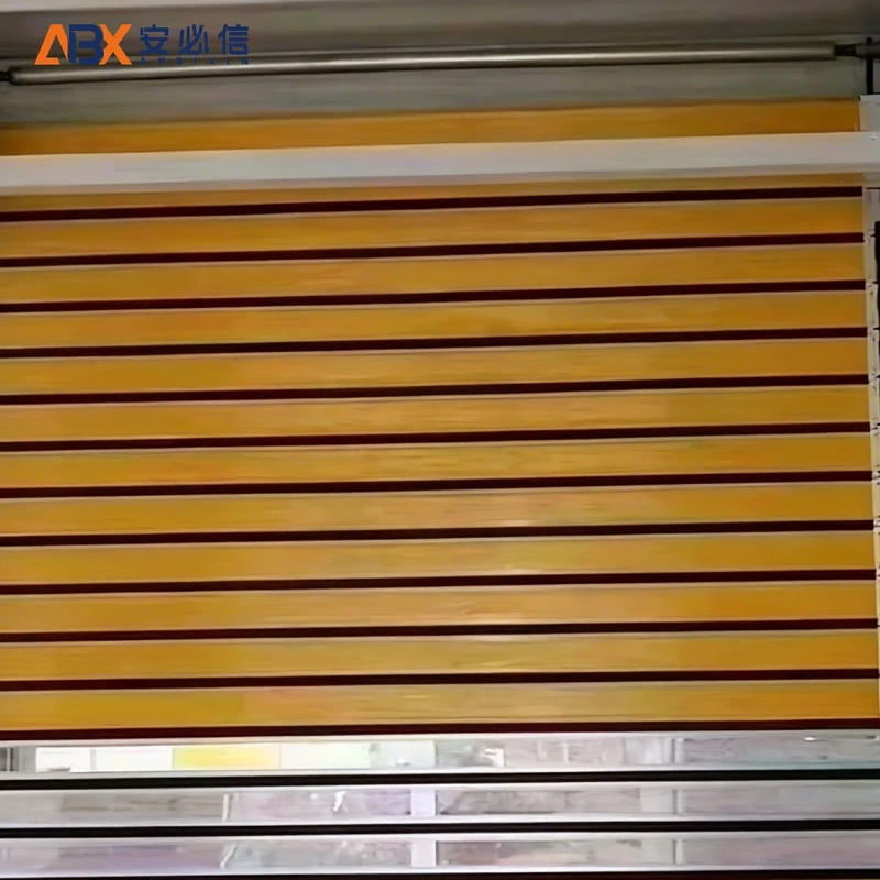 揭阳市消防高速门